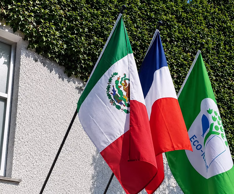 Biinguismo